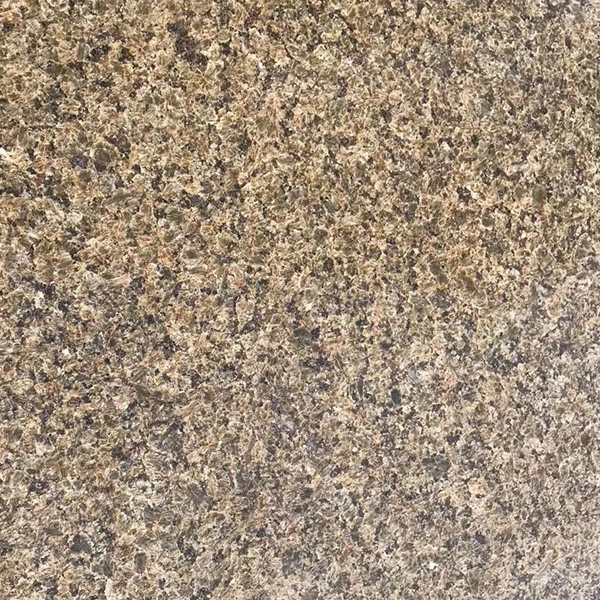 ຣʯż۸