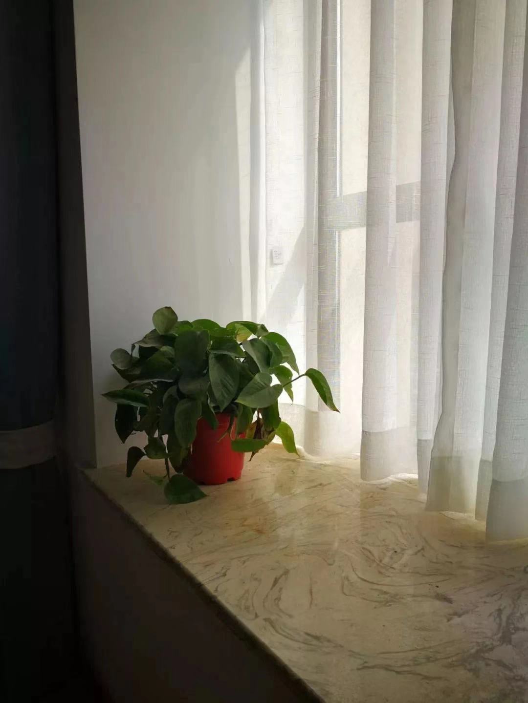 ݴʯҡʯ··ʯʯ 